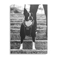 Gucci Dog Modern Fashion Wall Art