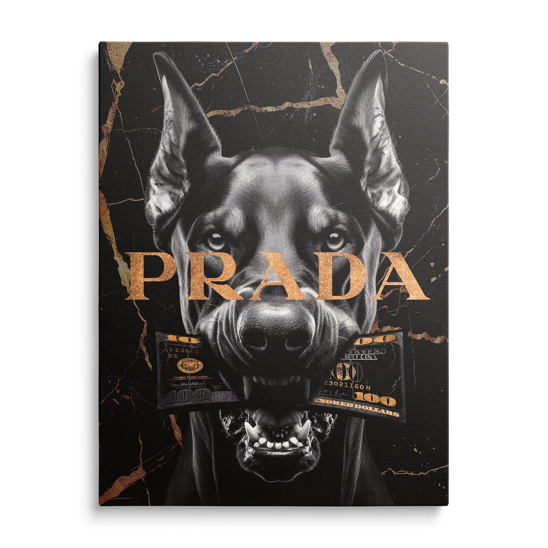Pop art wall art Doberman with gold banknotes on black background as motivational canvas wall art