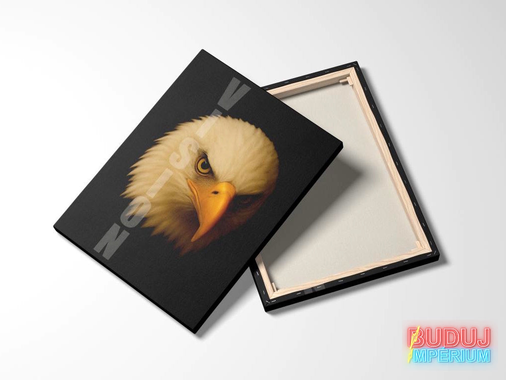 Motivational canvas wall art with an eagle on a black background, with the wooden frame visible from the back.